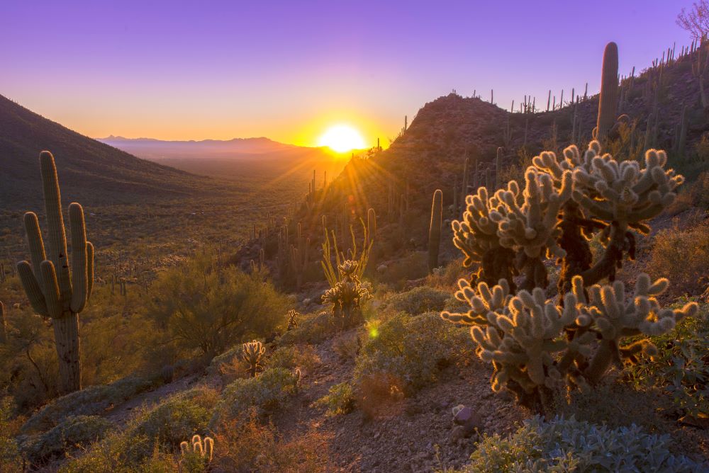 Tucson, Arizona landscape