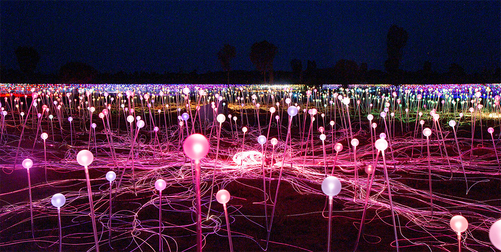 Self-guided tours through the Field of Light art installation at Uluru