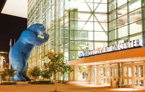 Blue Bear at Night - Public Art Credit Scott Dressell-Martin