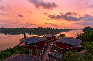 Treehouses at the Mandai Rainforest Resort by Banyan Tree. Credit: Mandai Rainforest Resort by Banyan Tree