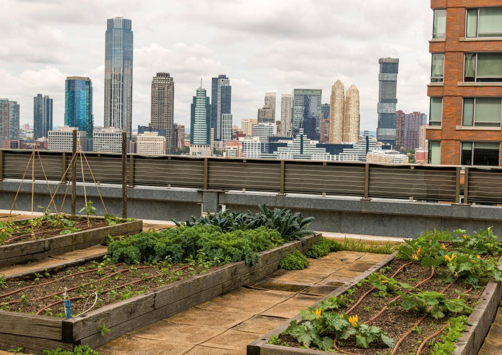 Conrad New York Downtown x Brooklyn Grange Garden. Credit: 2025 Hilton