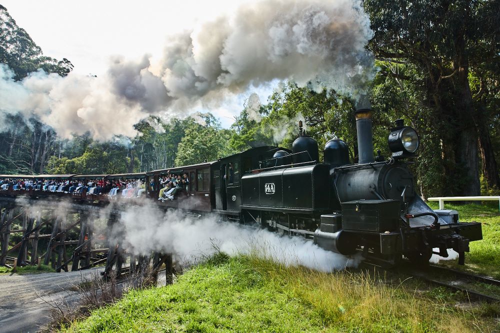 Amway China Puffing Billy train experience