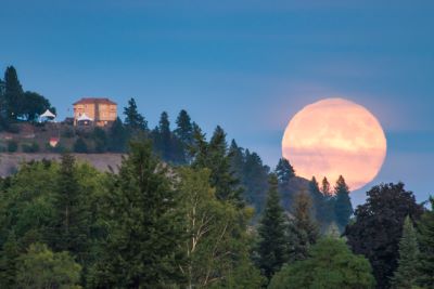 Arbor Crest Wine Cellars