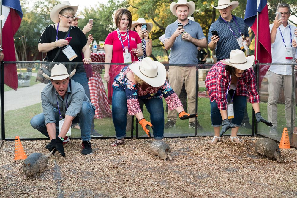 Photo of people engaged in armadillo races at Hyatt Regency Hill Country Resort and Spa.