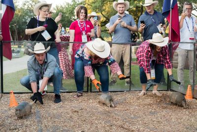 Hyatt Regency Hill Country Armadillo Races