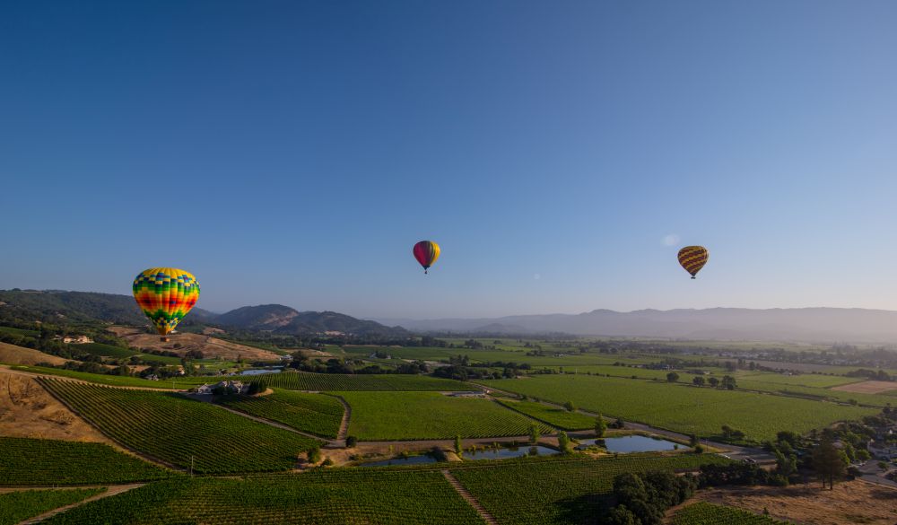 Photo of hot-air balloons over Napa Valley.