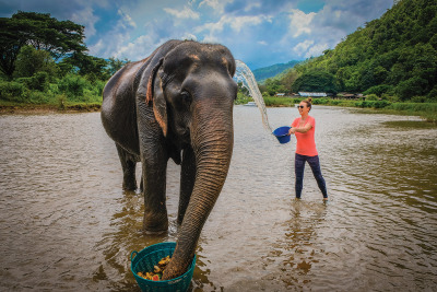 Bathing Elephants at Elephant Nature Park in Chiang Mai, Thailand