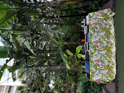 Blue Delta Jeans gifting event in the Bahamas