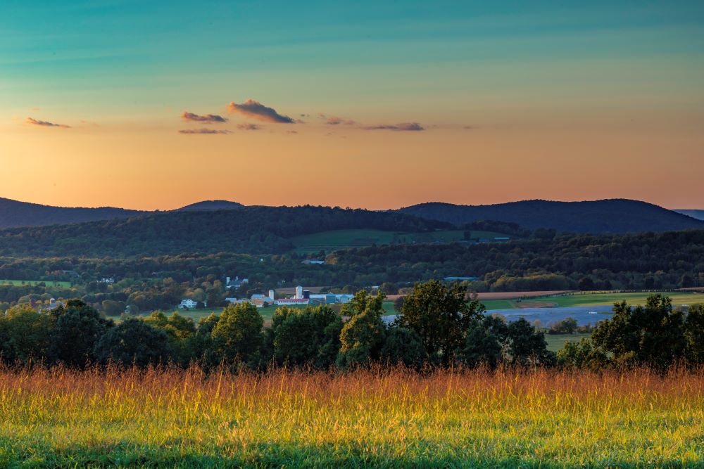 Born to Run Farm sunset 