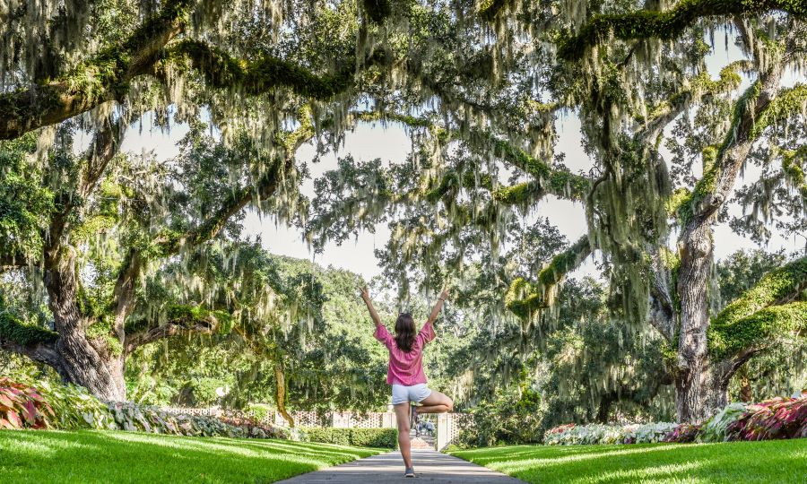  Brookgreen Gardens, Myrtle Beach, South Carolina.