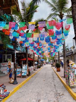 Calle Delfines in Sayulita