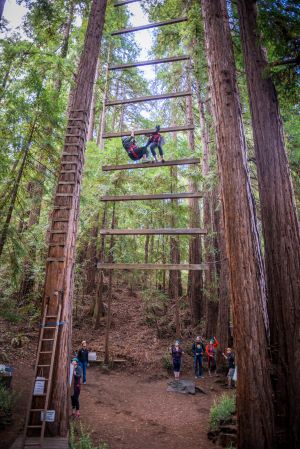 Chaminade Resort & Spa ropes course.