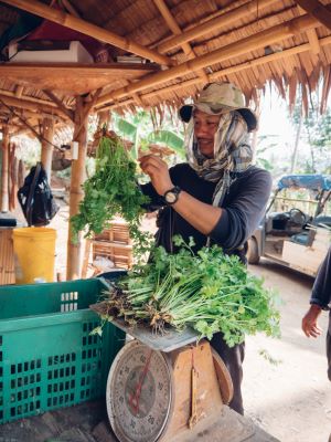 Eco-friendly farming activity at Conrad Koh Samui