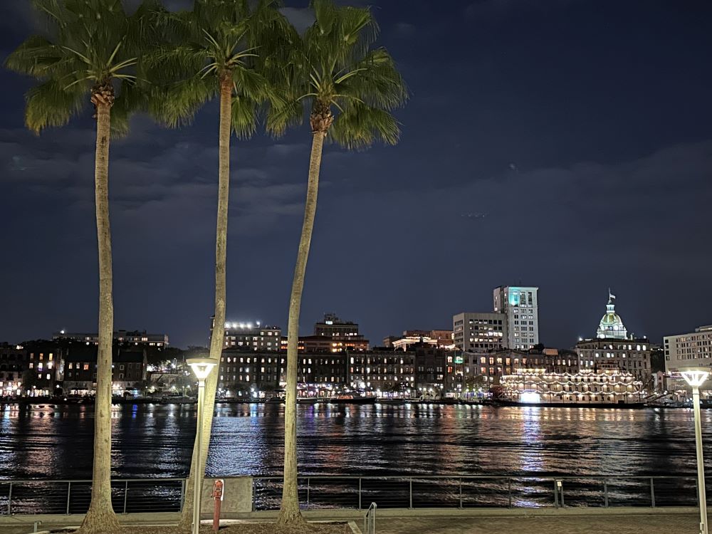 Photo of Savannah skyline from Westin Savannah event space.