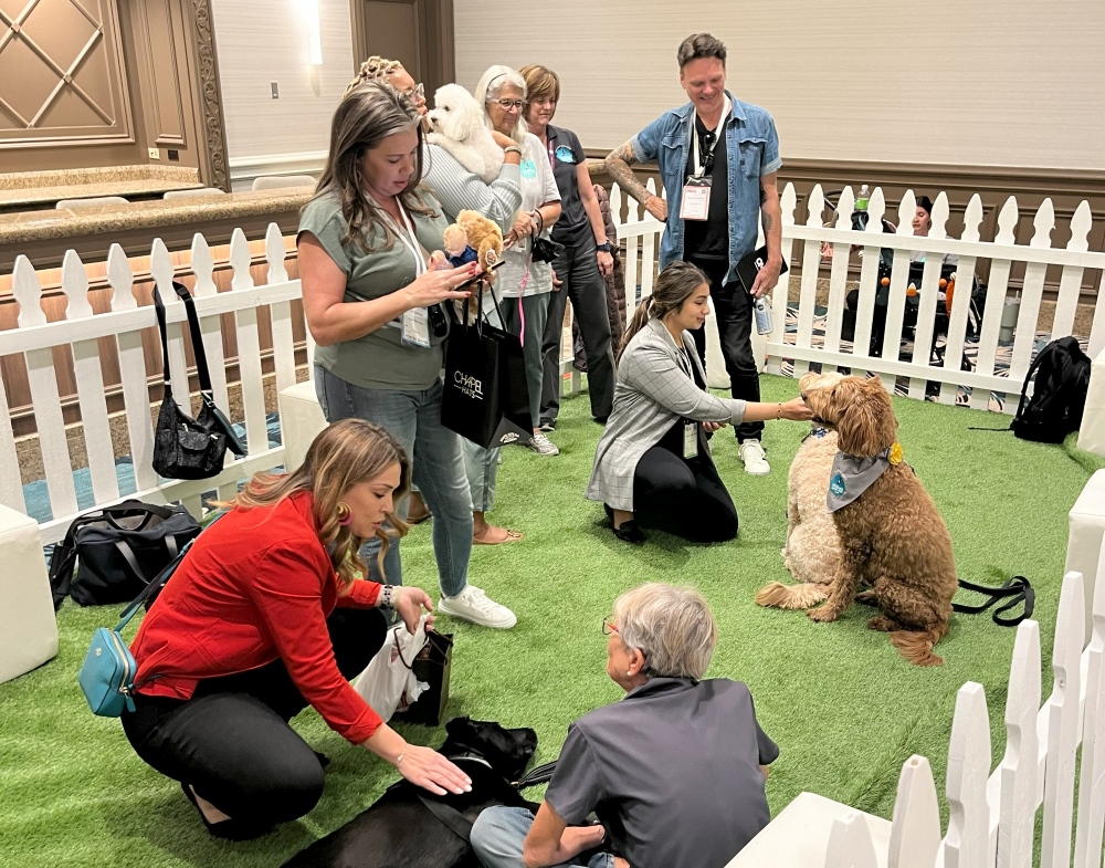 Cvent's Paws for a Break Area