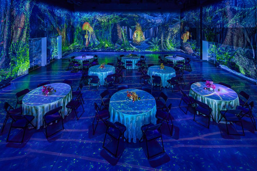 Dinner setup, Meow Wolf Denver.
