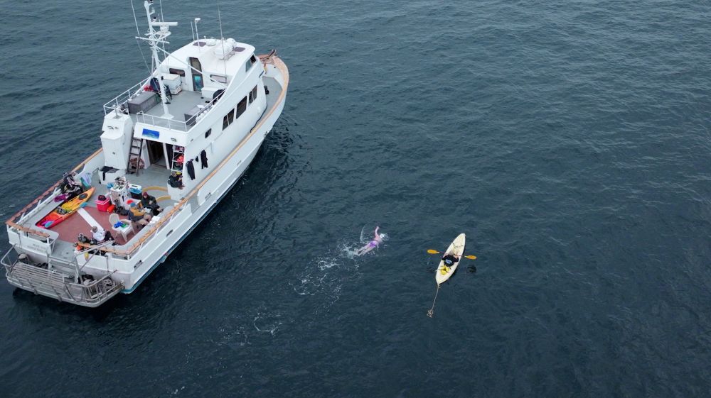 Deborah Gardner swimming next to support boat in Catalina Islands Channel.
