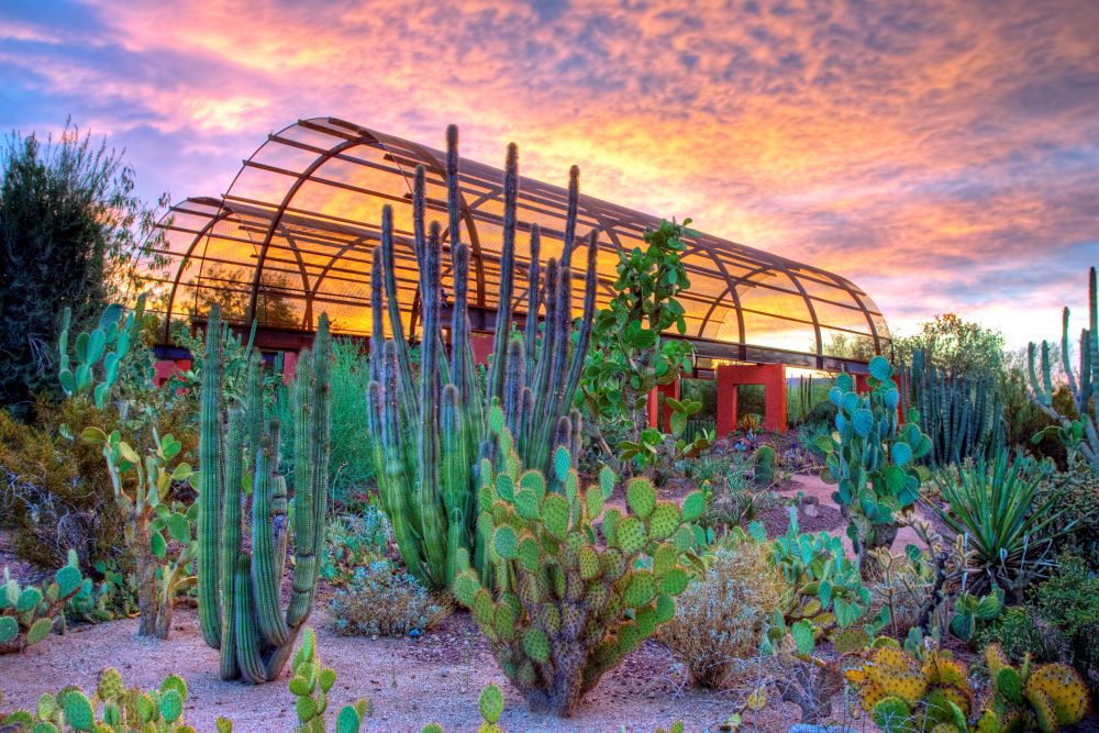 Desert Discovery Trail at Desert Botanical Garden in Phoenix