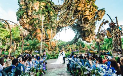 Disney Fairy Tale Weddings & Honeymoons