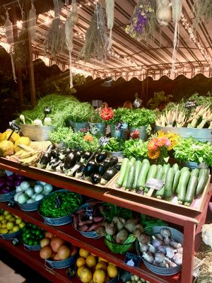 Farmstead display, Flora Farms, San José del Cabo, Mexico