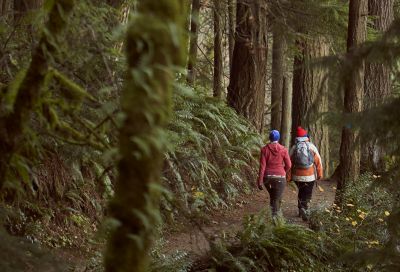 Forest Park. Credit: Travel Portland