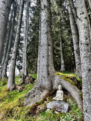 Forest hike, Kaprun, Austria