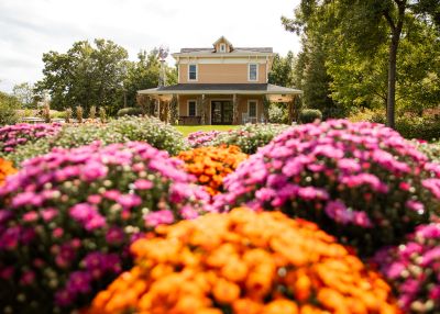Purple and orange mums are planted in front of a house at Frederik Meijer Gardens & Sculpture Park.