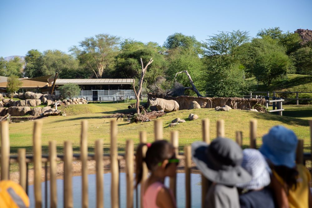 Photo of The Living Desert Zoo and Gardens Rhino Enclosure.