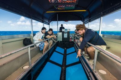 Glass-bottom boat tours by Reef Magic. Credit: Tourism Australia.