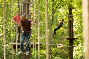 Go Ape, Plano, Texas.