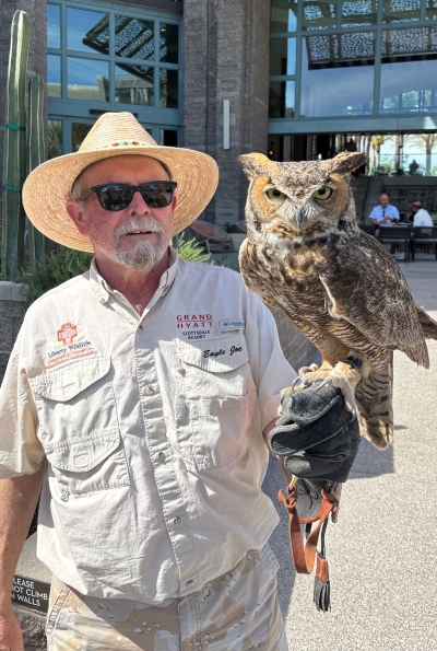 owl