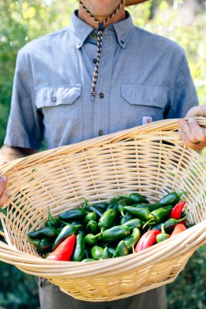 Man holding basket of peppers at Harvest Farm peppers,  The Ranch at Laguna Beach.