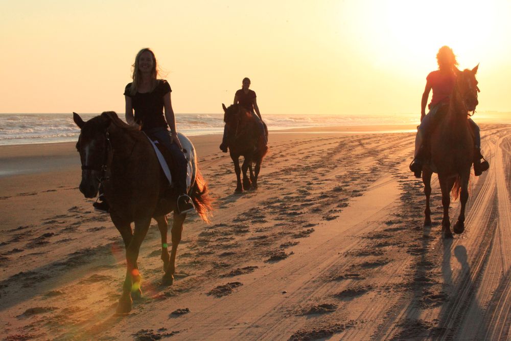 Horseback Riding on Cape Hatteras