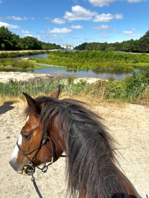 Horseback riding with Cheval & Châteaux through France's Loire Valley, from Laurie's point of view