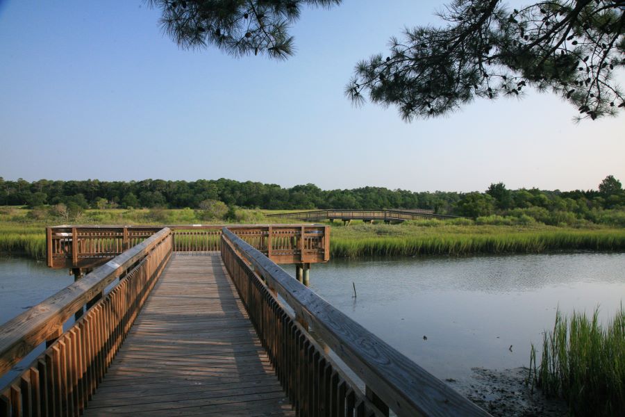 Huntington Beach State Park, Myrtle Beach, South Carolina.