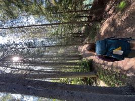 Hiking with Glacier Guides in Glacier National Park