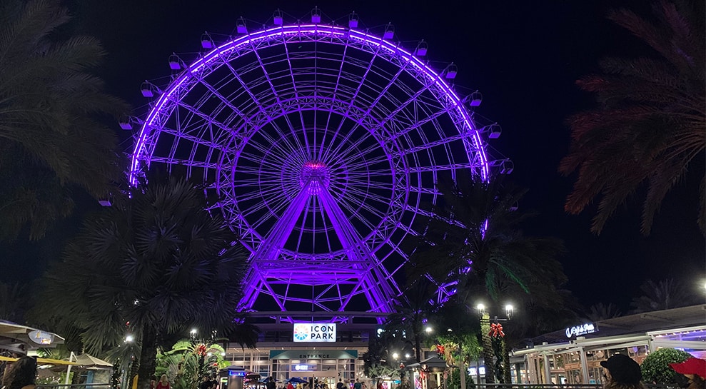 Icon Park Ferris Wheel