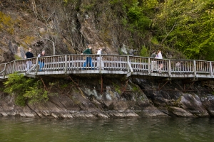 Ijams Boardwalk Credit Visit Knoxville