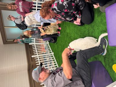 IMEX doggie corral.