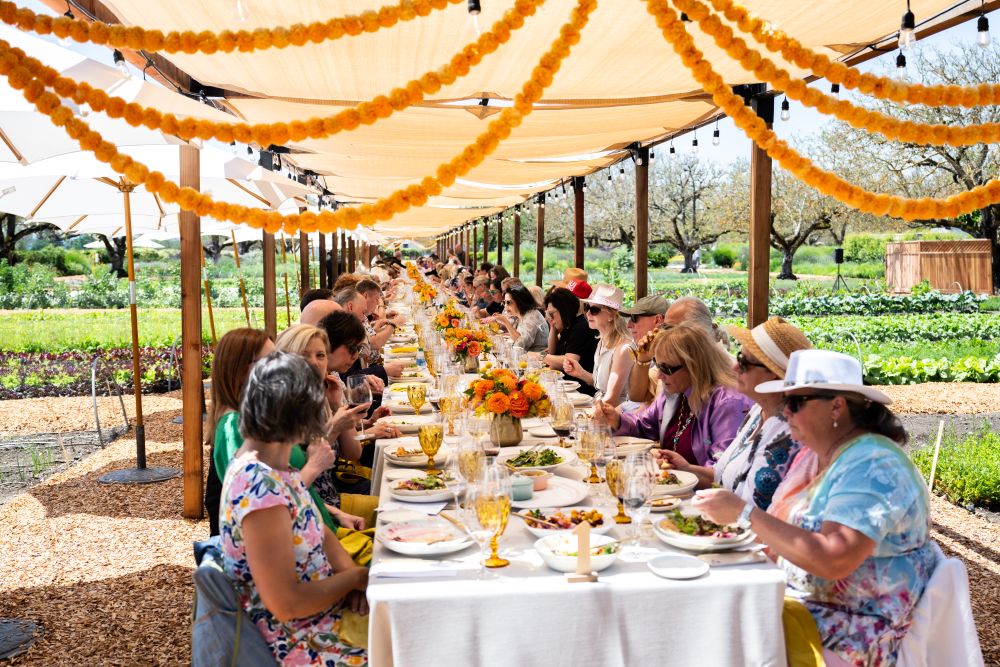 A group having lunch at a long table in a vineyard at Kendall Jackson Winery.