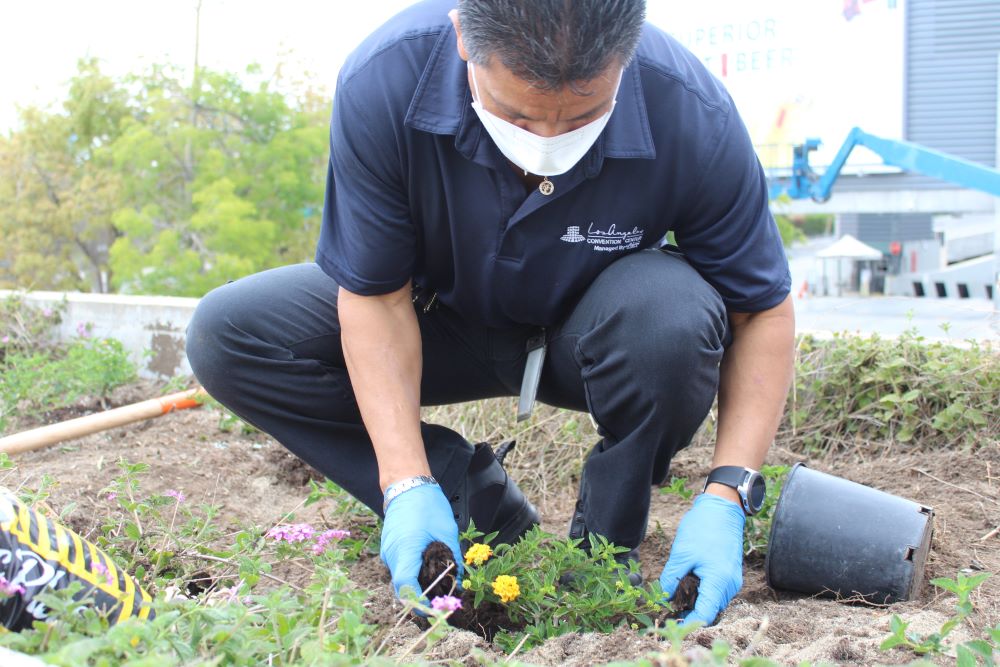 Los Angeles Convention Center Earth Day planting activity.