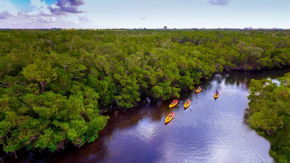 Kayaking on the Great Calusa Blueway