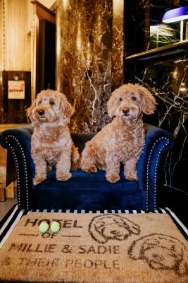 Mille and Sadie at Hilton Milwaukee. Credit: Wandering Maverick Photo and Film