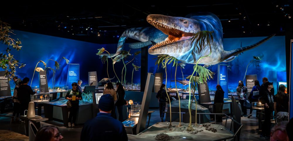 Mosasaur exhibit at Edelman Fossil Park & Museum 