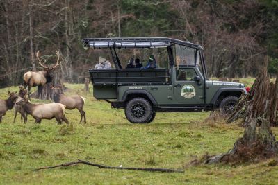 Northwest Trek Wildlife Park Keep Adventure Tours