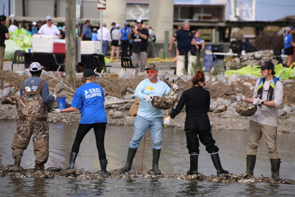 Oyster Shell Recycling Program with the Coalition to Restore Coastal Louisiana. Credit: Coalition to Restore Coastal Louisiana.