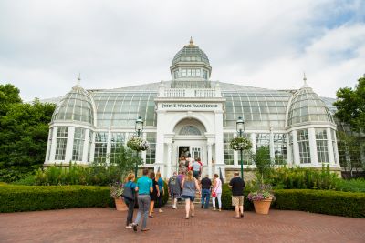 John F. Wolfe Palm House CREDIT Levi Ely