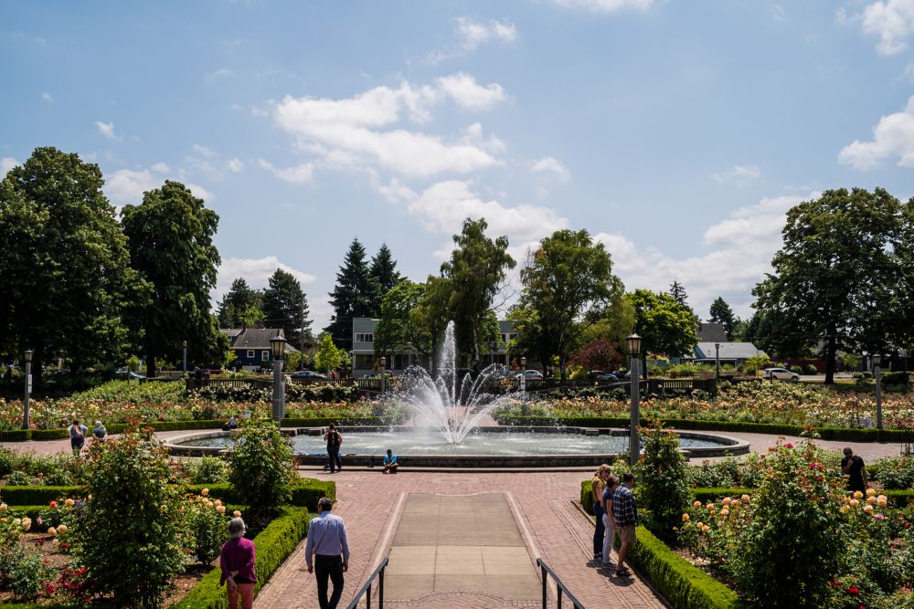 Peninsula Park Rose Garden. Credit: Justin Katigbak, Travel Portland