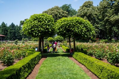 Peninsula Park. Credit: Justin Katigbak, Travel Portland