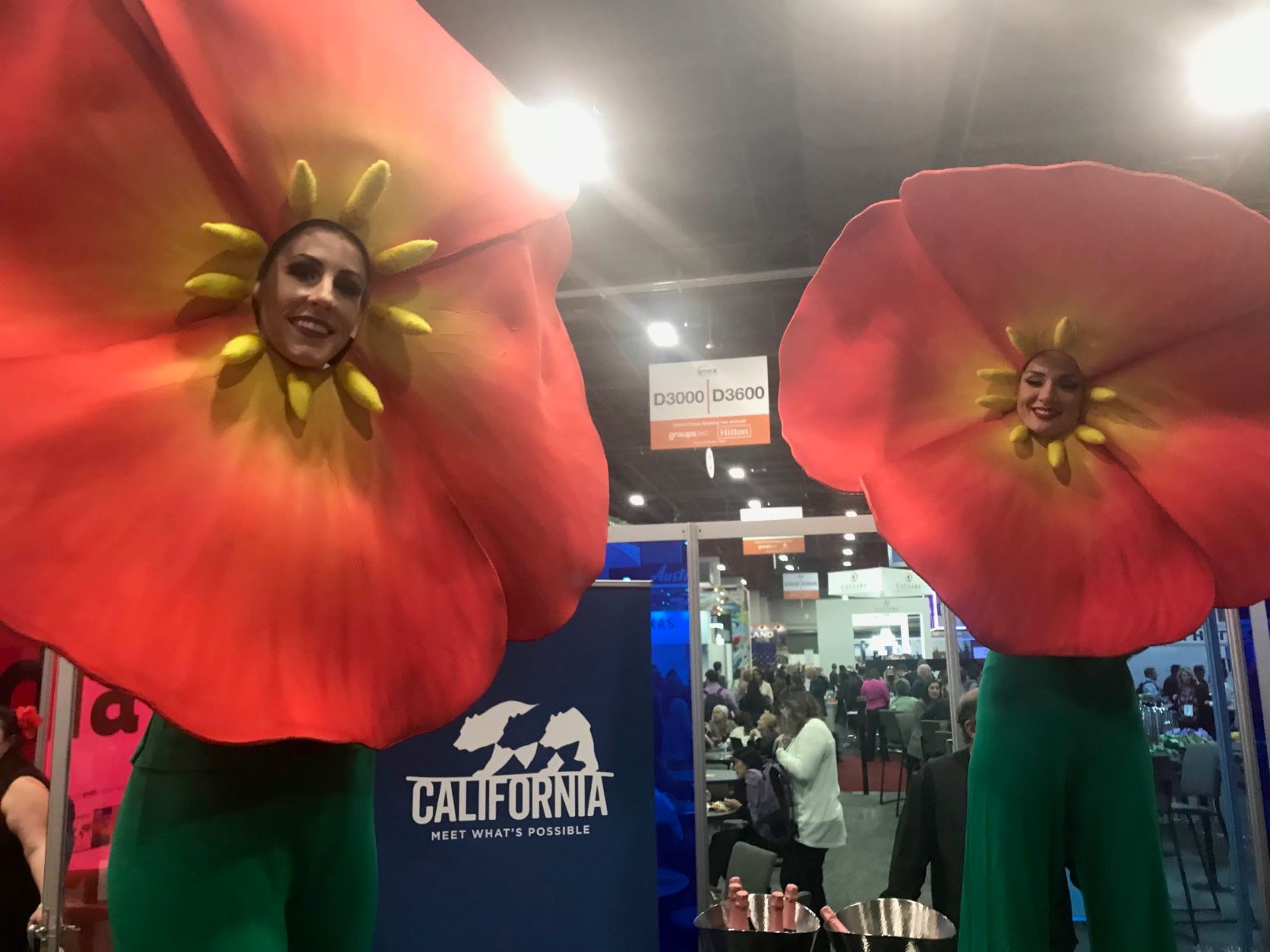 IMEX 2021 poppies